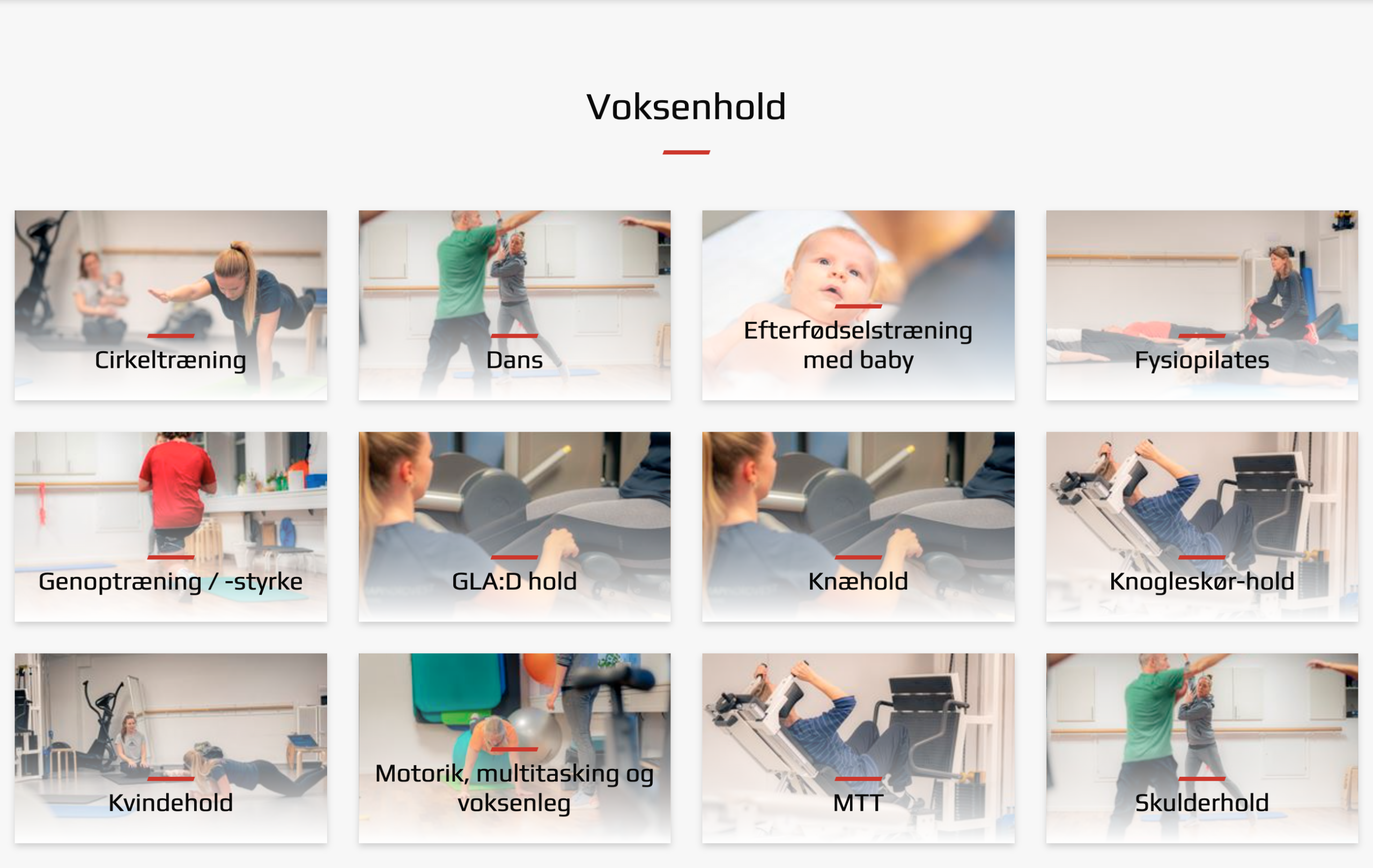 Voksenhold